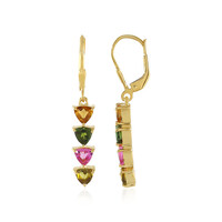 Orecchini in argento con Tormalina