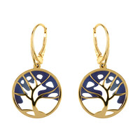 Orecchini in argento