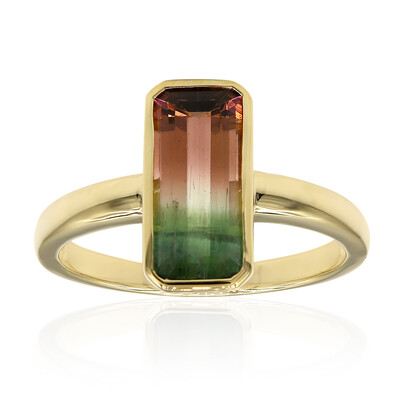 Anello in oro con Tormalina Bicolore