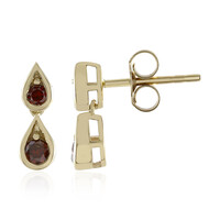 Orecchini in oro con Diamante Rosso I3