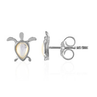Orecchini in argento con Madreperla