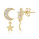 Orecchini in argento con Zircone