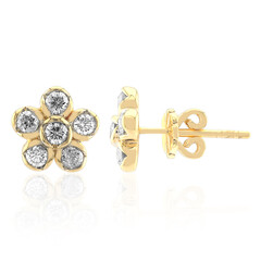 Orecchini in oro con Diamante SI1 (G)