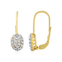 Orecchini in argento con Zircone