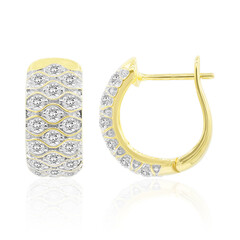 Orecchini in oro con Diamante SI1 (G)