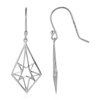 Orecchini in argento