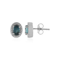 Orecchini in argento con Fluorite Petrolio del Belgio