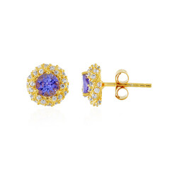 Orecchini in argento con Tanzanite