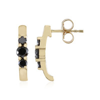 Orecchini in oro con Diamante Nero