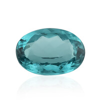 Gemma con Indicolite Mutuca