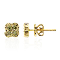 Orecchini in oro con Diamante Giallo VS1