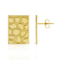 Orecchini in argento