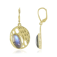 Orecchini in argento con Labradorite