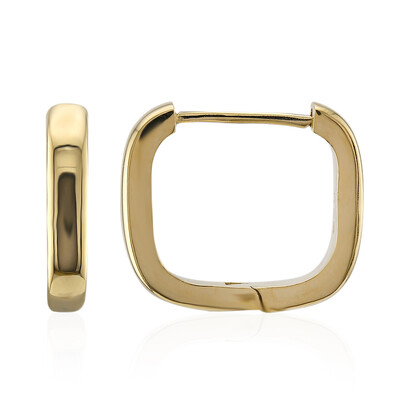 Orecchini in argento