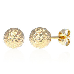 Orecchini in argento