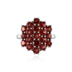 Anello in argento con Granato Mozambico