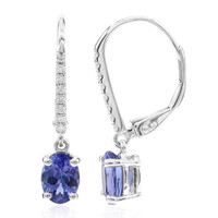 Orecchini in oro con Tanzanite AAA (CIRARI)