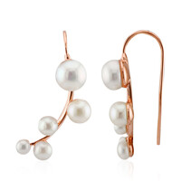 Orecchini in argento con Perla d'Acqua Dolce Bianca (TPC)