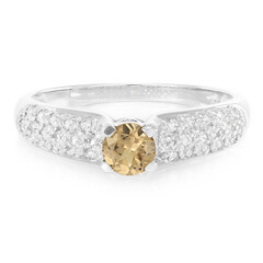 Anello in argento con Granato Malaya