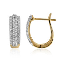 Orecchini in oro con Diamante SI1 (G)