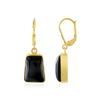 Orecchini in argento con Onice Nero