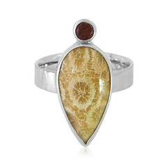 Anello in argento con Corallo Pietrificato