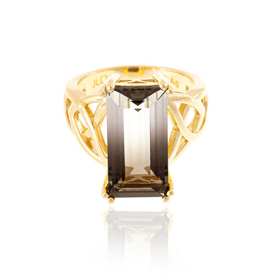 Anello in argento con Quarzo Bicolore