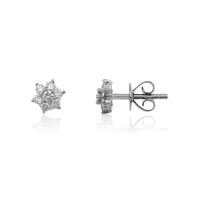 Orecchini in platino con Diamante Flawless (F) (LUCENT DIAMONDS)