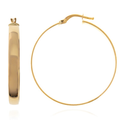 Orecchini in oro