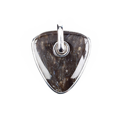 Ciondolo in argento con Legno Fossile
