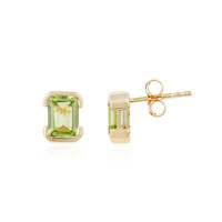 Orecchini in argento con Peridoto
