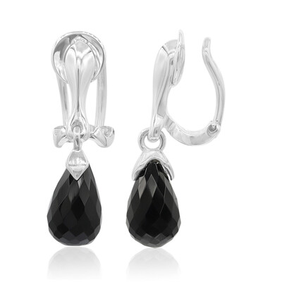 Orecchini in argento con Agata Nera