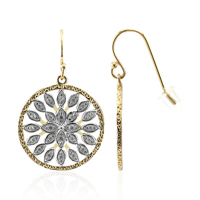 Orecchini in argento con Zircone