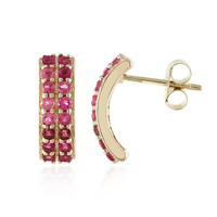 Orecchini in oro con Rubellite