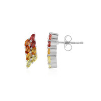 Orecchini in argento con Zaffiro Fancy