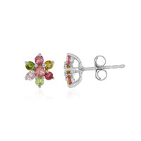 Orecchini in argento con Tormalina