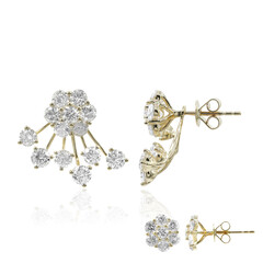 Orecchini in oro con Diamante I1 (H) (CIRARI)