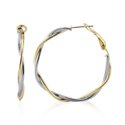 Orecchini in argento
