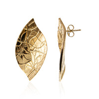 Orecchini in argento (Joias do Paraíso)