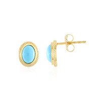 Orecchini in argento con Turchese Sleeping Beauty