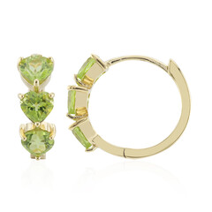Orecchini in argento con Peridoto della Birmania