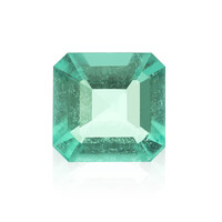 Smeraldo Colombiano Di Muzo