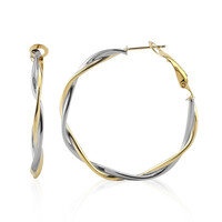 Orecchini in argento
