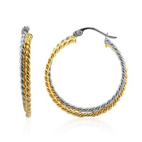 Orecchini in argento