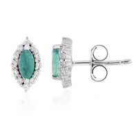 Orecchini in argento con Grandidierite