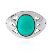 Anello in argento con Turchese Campitos (Anne Bever)