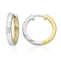 Orecchini in argento