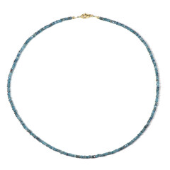 Collana in argento con Cianite Blu Foglia di Tè