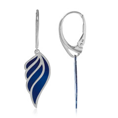 Orecchini in argento