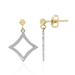 Orecchini in argento